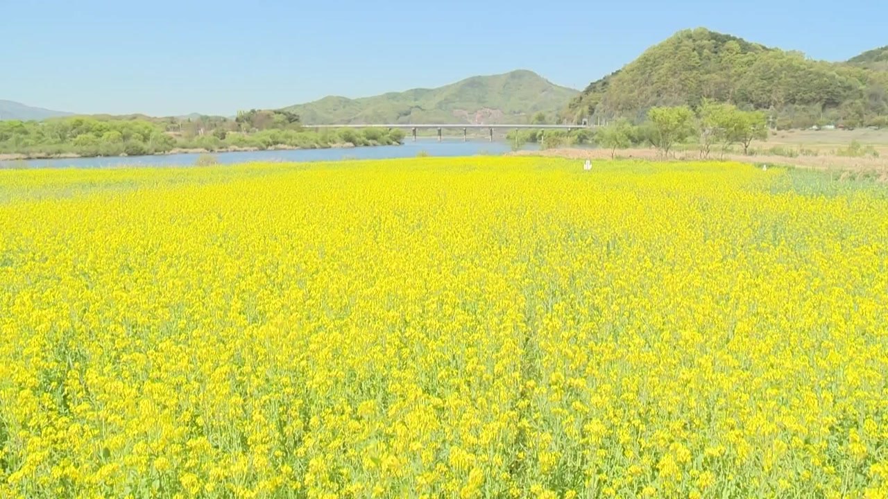 "목계 풍경 즐기러 오세요"...충북 관광·체험 확충 / YTN