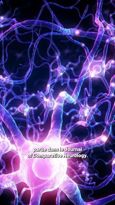 Les dinosaures étaient-ils super intelligents ?