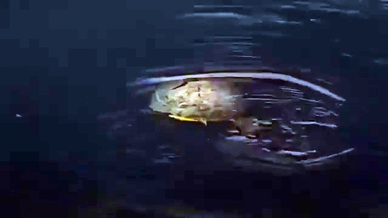 Turtle spotted swimming in popular Doncaster lake