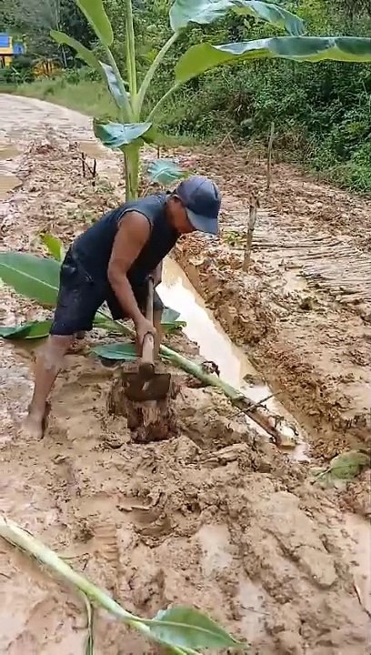 expression of disappointment