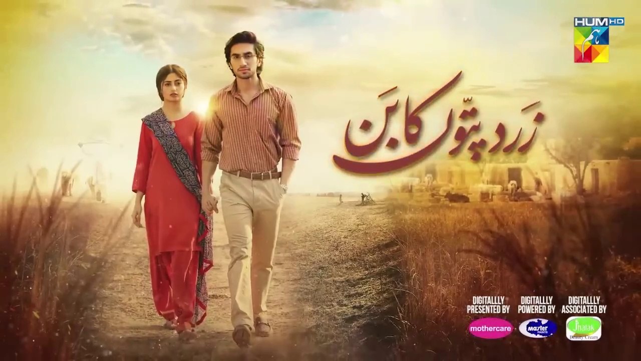Zard Patton Ka Bunn - Episode 01 [CC] - 12 May 24  - Hum tv