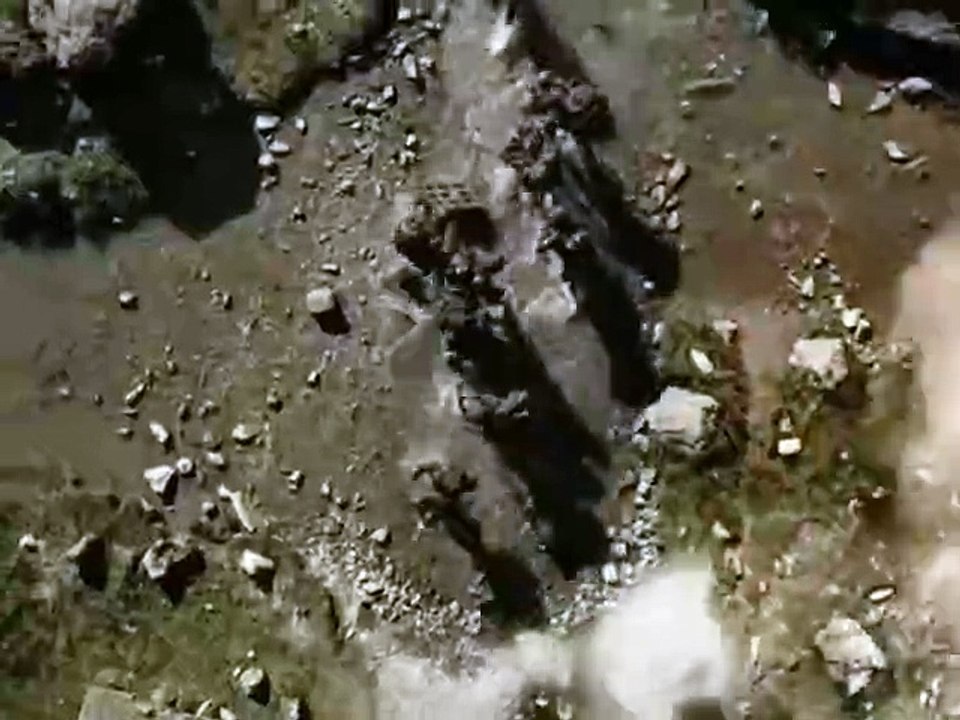 Bollywood Superhit Movies 2024