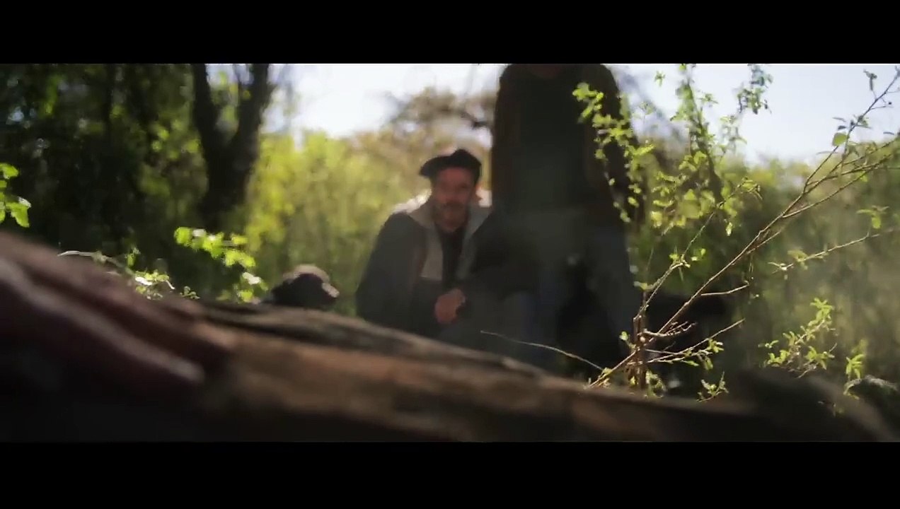 La bande-annonce du film When Evil Lurks