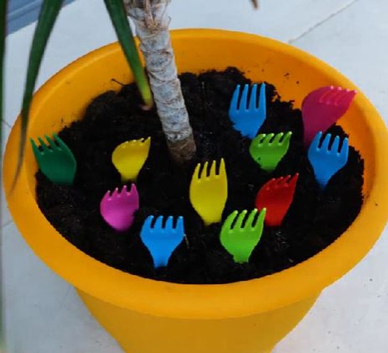 Easy hacks to keep your plants safe & healthy!