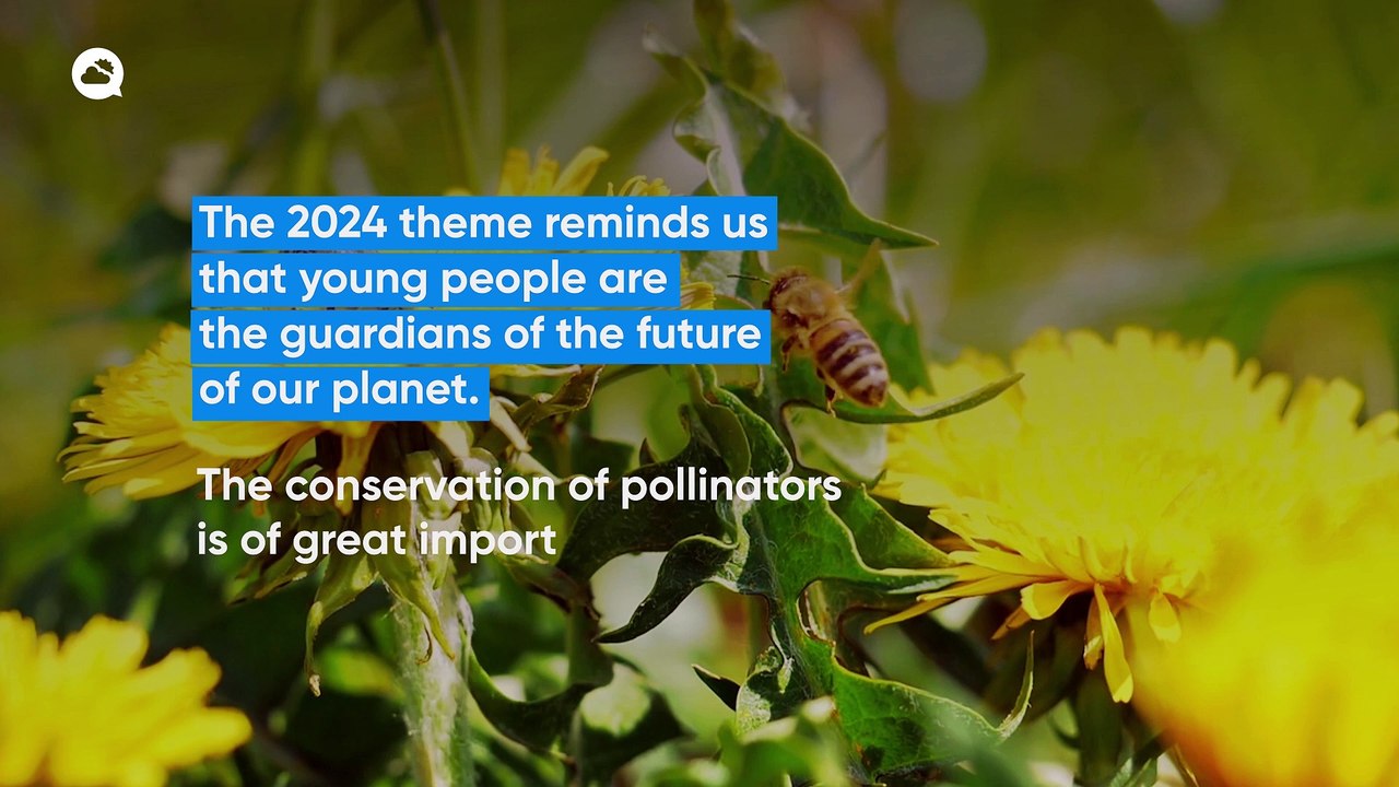 Today we celebrate World Bee Day