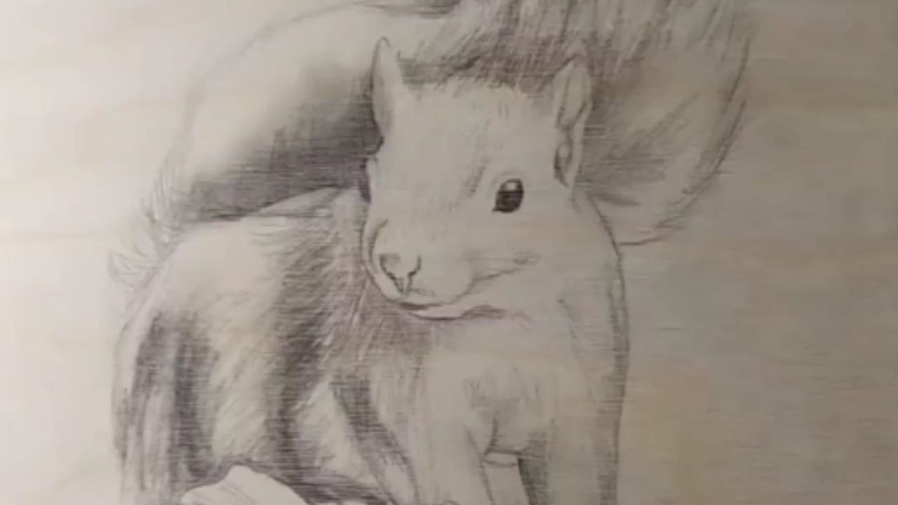 Artist's impeccable grip on pyrography helps bring a detailed squirrel to life