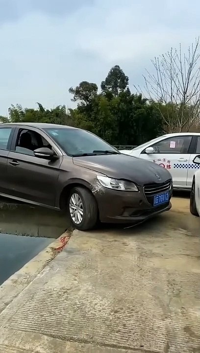 How a Skilled Driver Handles a Blocked Narrow Road 🚗