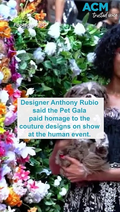 Who wore it best? Dogs step out in style for the 2024 Pet Gala