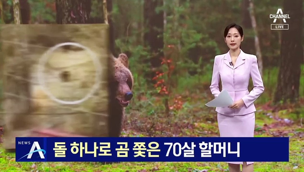 돌 하나로 곰 쫓은 70살 할머니