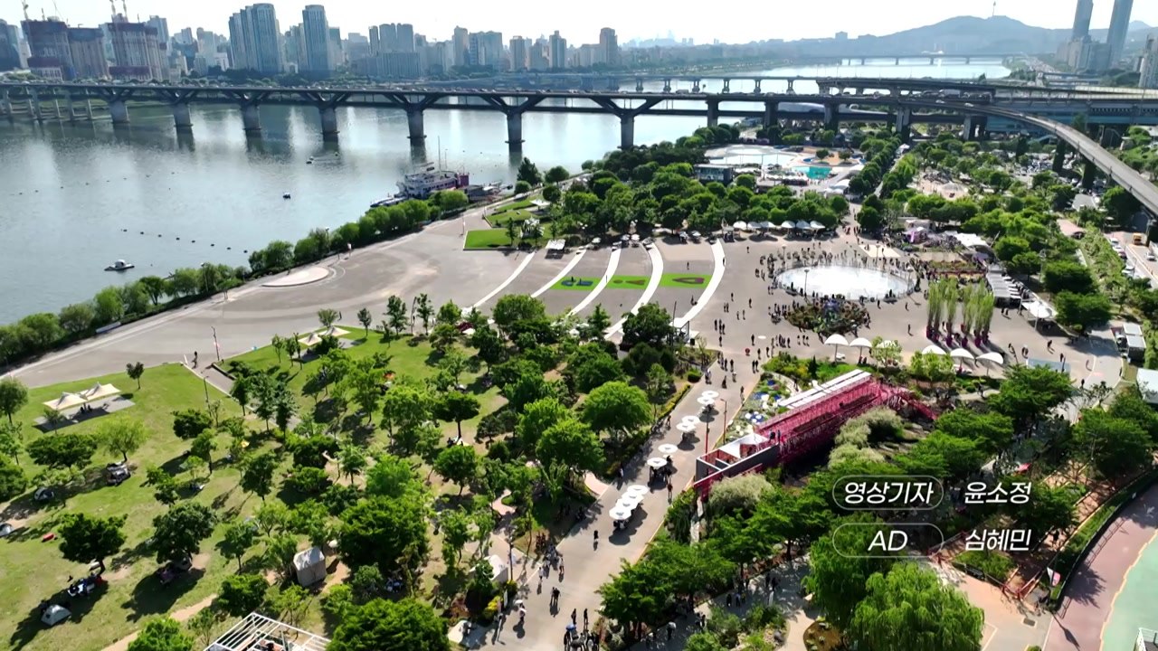 [영상] 정원 만개하다 / YTN