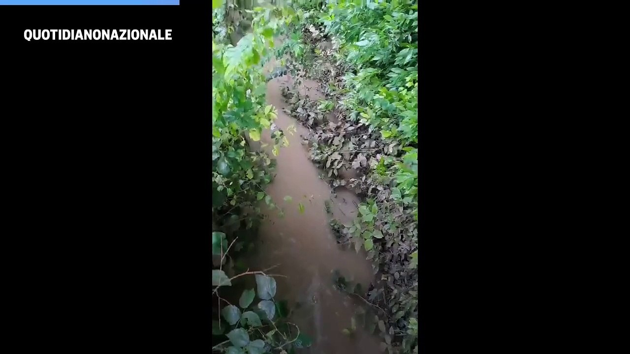 Maltempo in Veneto: campagne allagate nel basso Padovano