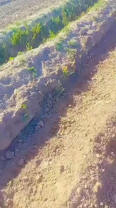 Islamic Post: Insights & Inspiration ✨