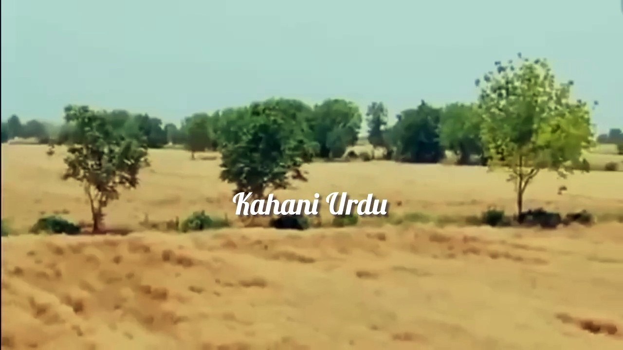 Islamic Kahani Urdu & Hindi | Emotional & Moral Stories for All Ages 📖