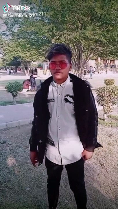 TikTok TikTok Videos