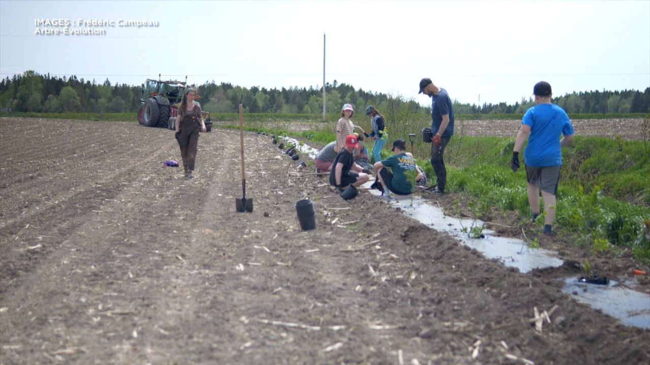 Protection des espèces vulnérables : des élèves interpellent la MRC du Kamouraska