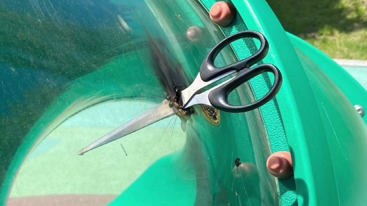 놀이터 미끄럼틀에 꽂힌 가위...경찰, 고등학생 2명 검거 / YTN