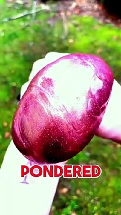 Relaxing and Satisfying English Shorts to Watch Now ✨