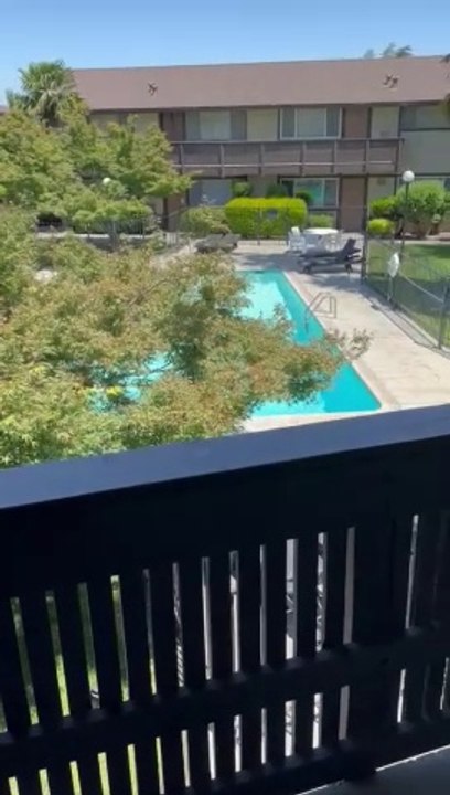 California california