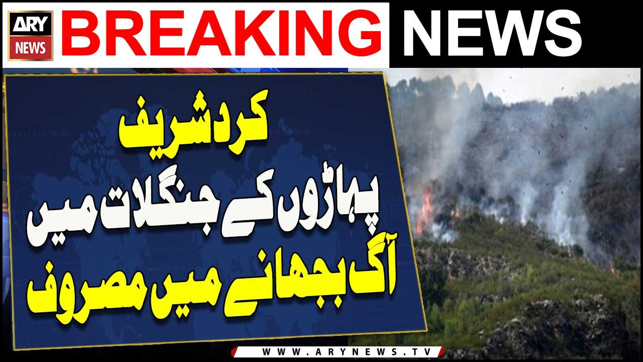 Janglat Mein Aag Bujhanay Mein Masroof