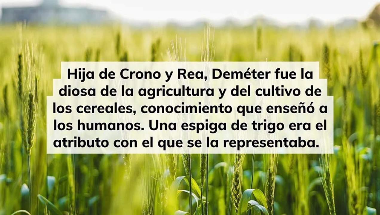 Deméter: La Diosa Griega que Enseñó la Agricultura y el Cultivo del Trigo 🌾