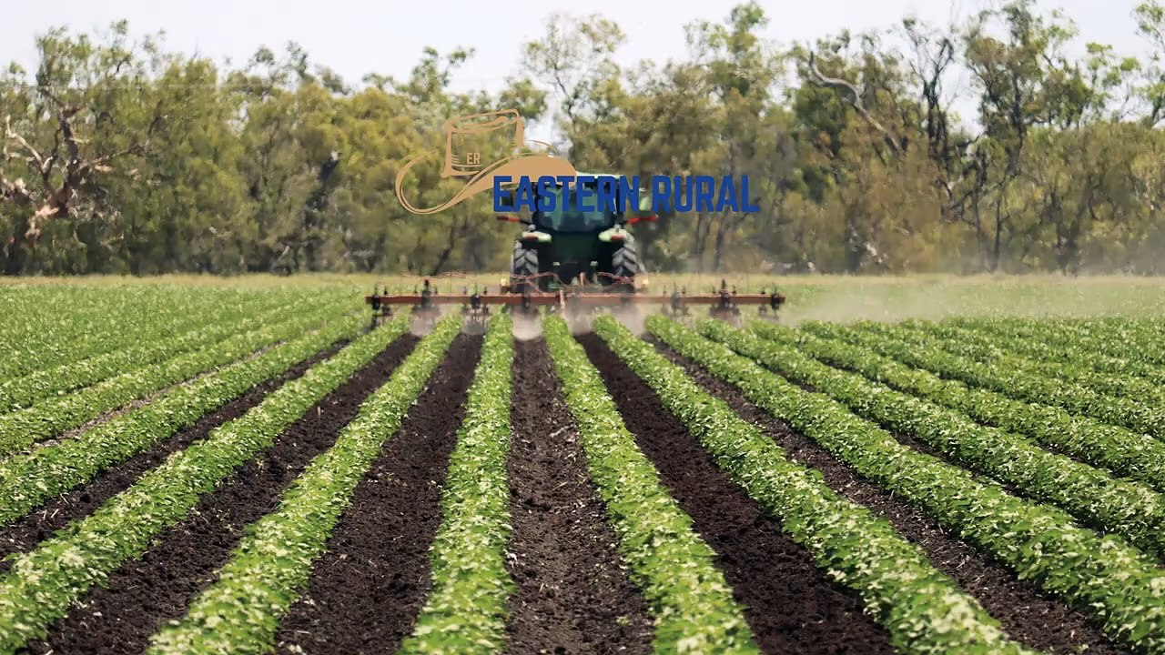 The Meadows & JK Aggregation, Dalby, Qld | June 4, 2024 | Farmonline