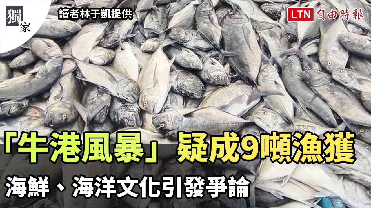 獨家》牛港鰺海底風暴疑成9噸漁獲 海鮮、海洋文化引發爭論（讀者林于凱、清出於藍潛水提供）