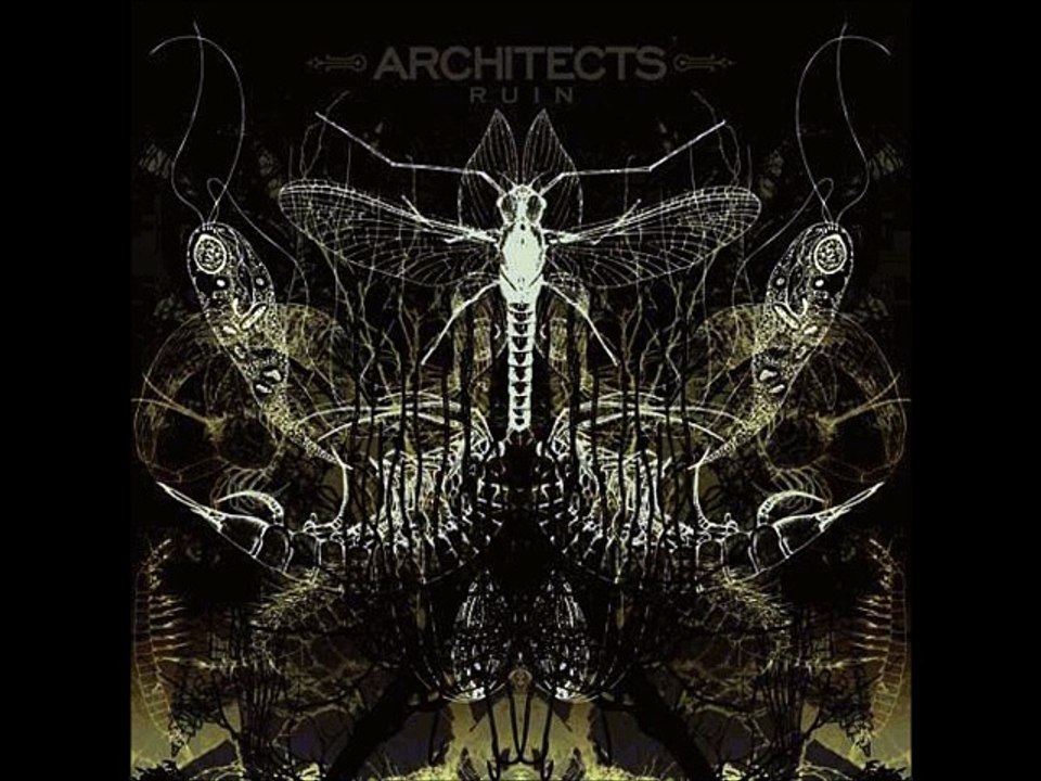 Architects - Officer Down