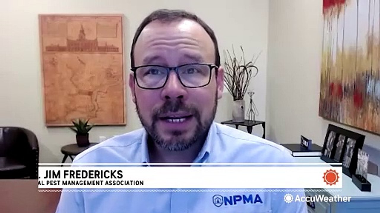 Prepare for the seasonal shift of bugs