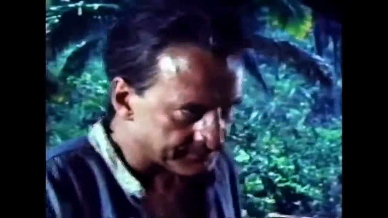 The Savage is Loose 1974 ‧ Adventure/Thriller - Survival Drama   George C Scott