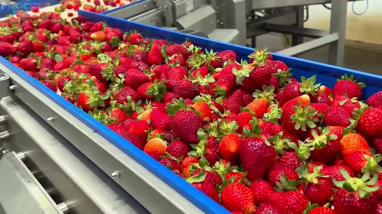 How Strawberry Jam Is Made In Factory | Strawberry Jam Factory Process