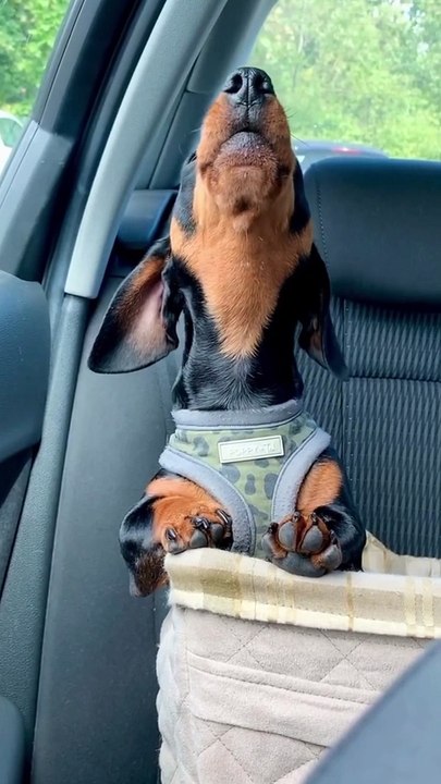 Inspiration musicale