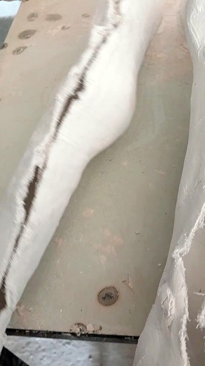 HKFO Cast Details 🎭