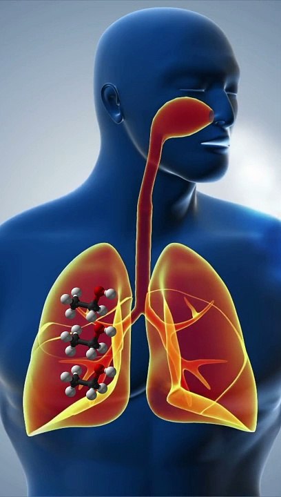 Comment marche un éthylomètre ?
