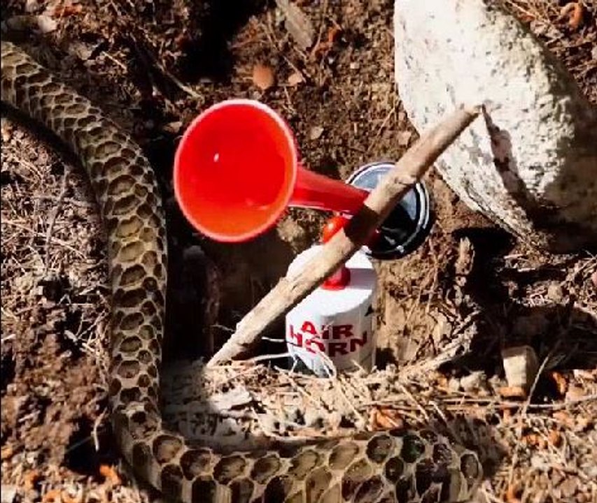 Effective Solutions for Common Camping Challenges