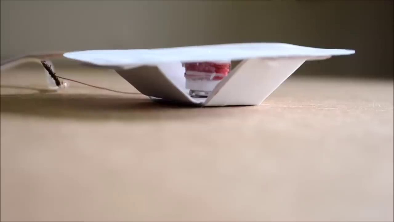 How to make Speaker #project #model #science