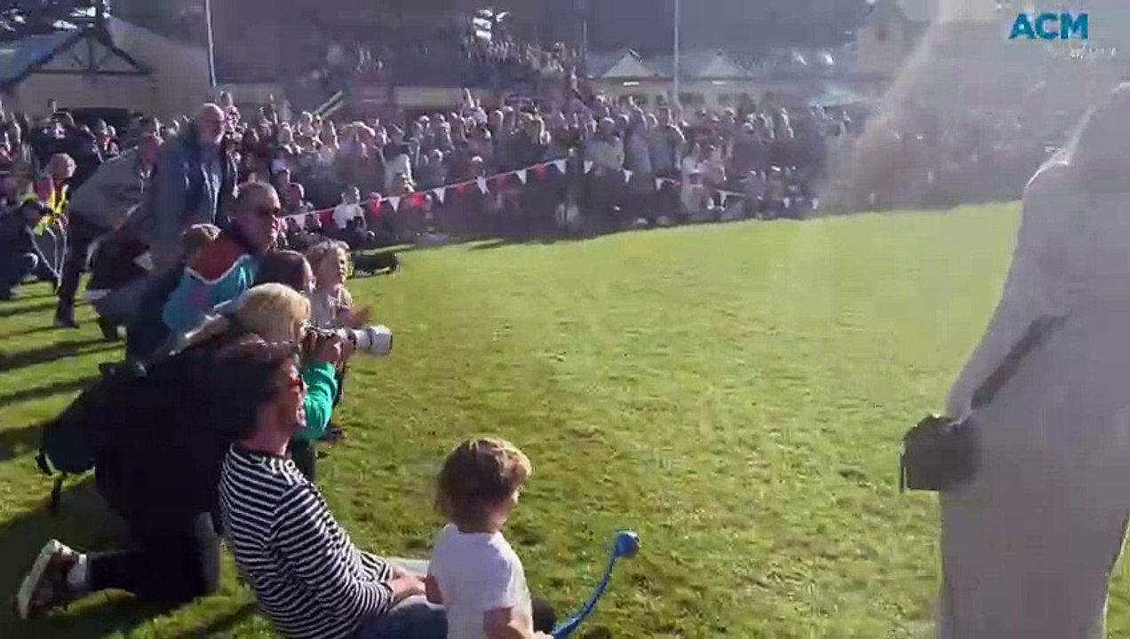 Dachshund Dash - The Standard 2024