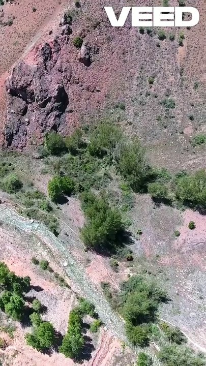 Unlocking the Hidden Secrets of Zinc