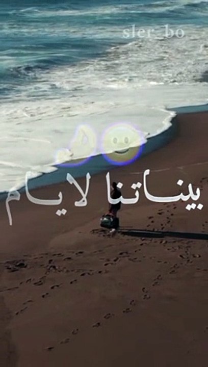 بيناتنا ليام أعشيري 