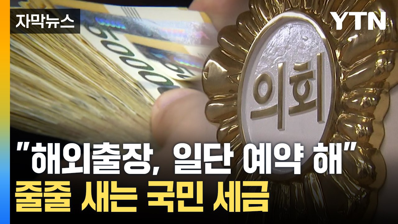 [자막뉴스] 출장 또 출장...해외 나가며 '세금' 펑펑 쓰는 지방의회 / YTN