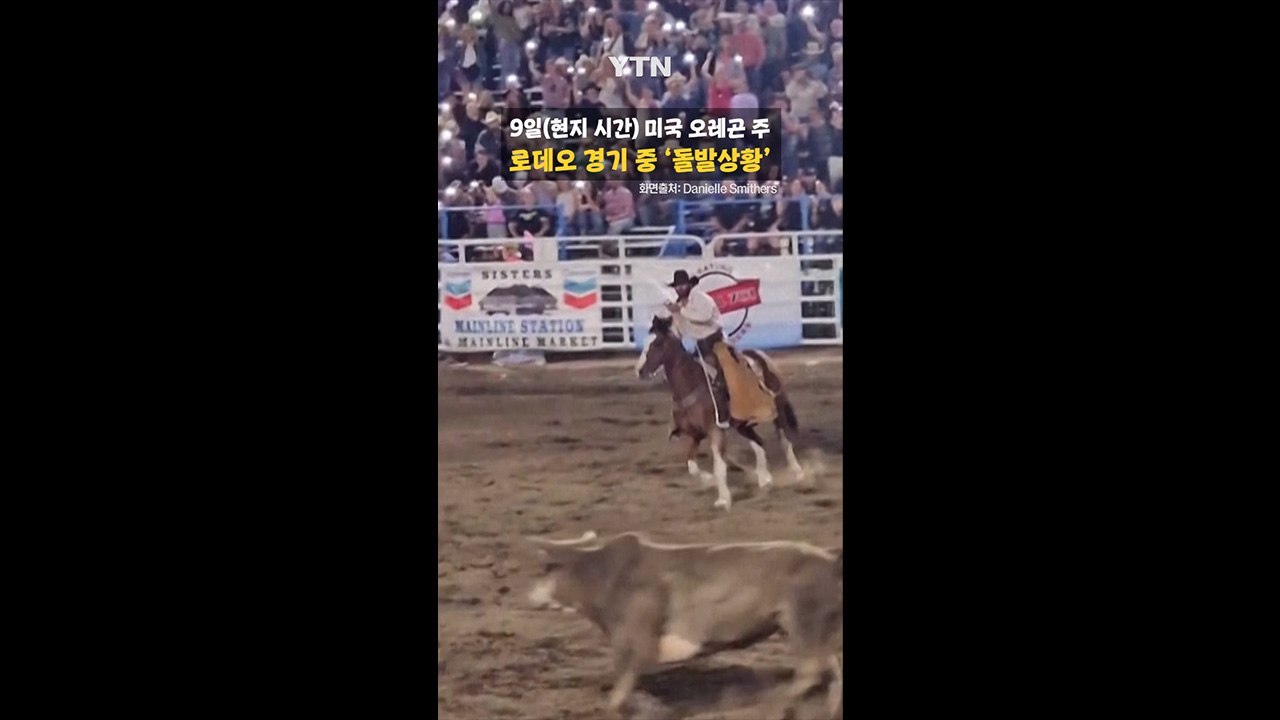 경기장 뛰어넘어 탈출한 황소 '아수라장' / YTN