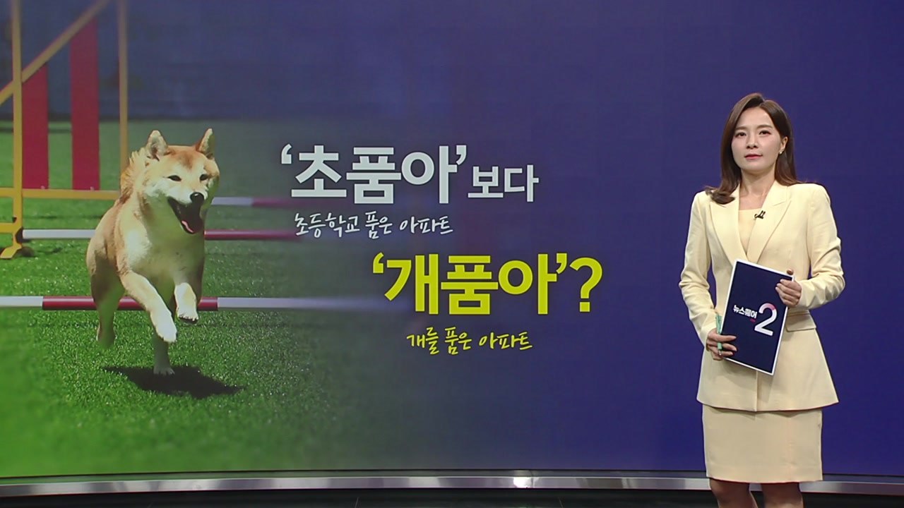 개품아 [앵커리포트] / YTN