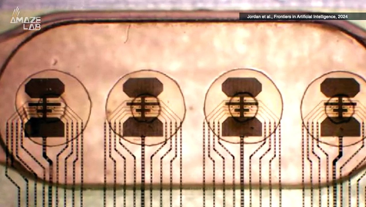 This Biocomputer is a Neural Network of 16 Tiny, Human Mini-Brains