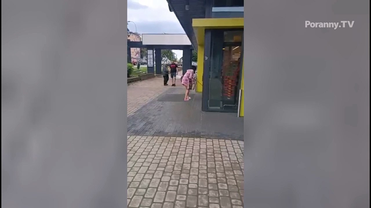 Owieczka na spacerze w Białymstoku