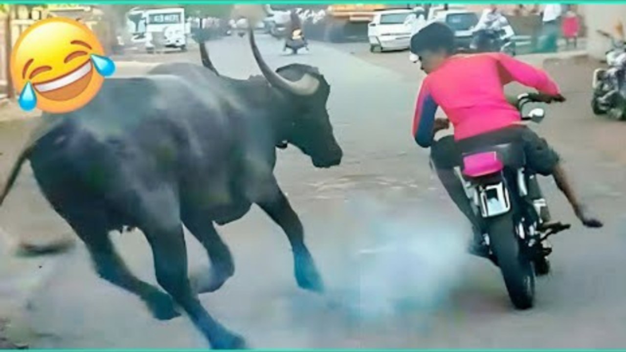 Funny & Hilarious People's Life - Try not to Laugh - Funny Fails Compilation 2024