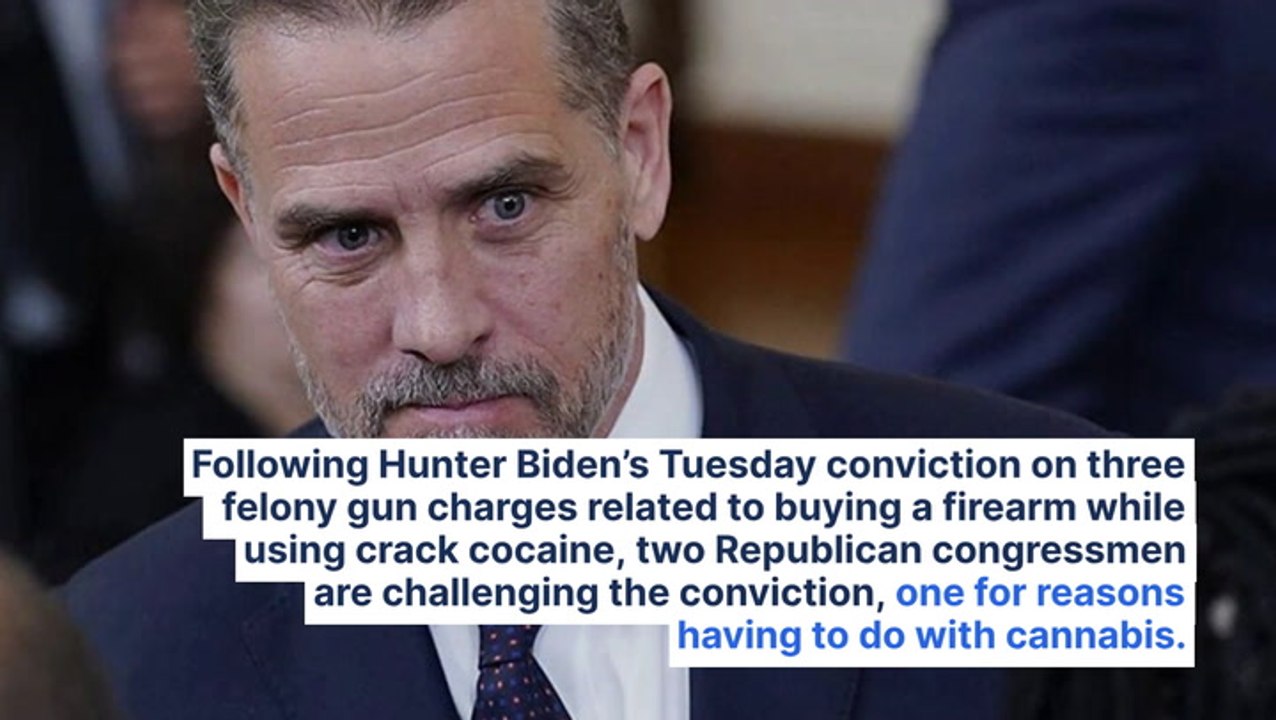 GOP Congressman On Hunter Biden Conviction: Millions Of Marijuana Users Own Guns And 'None Of Them Should Be In Jail'