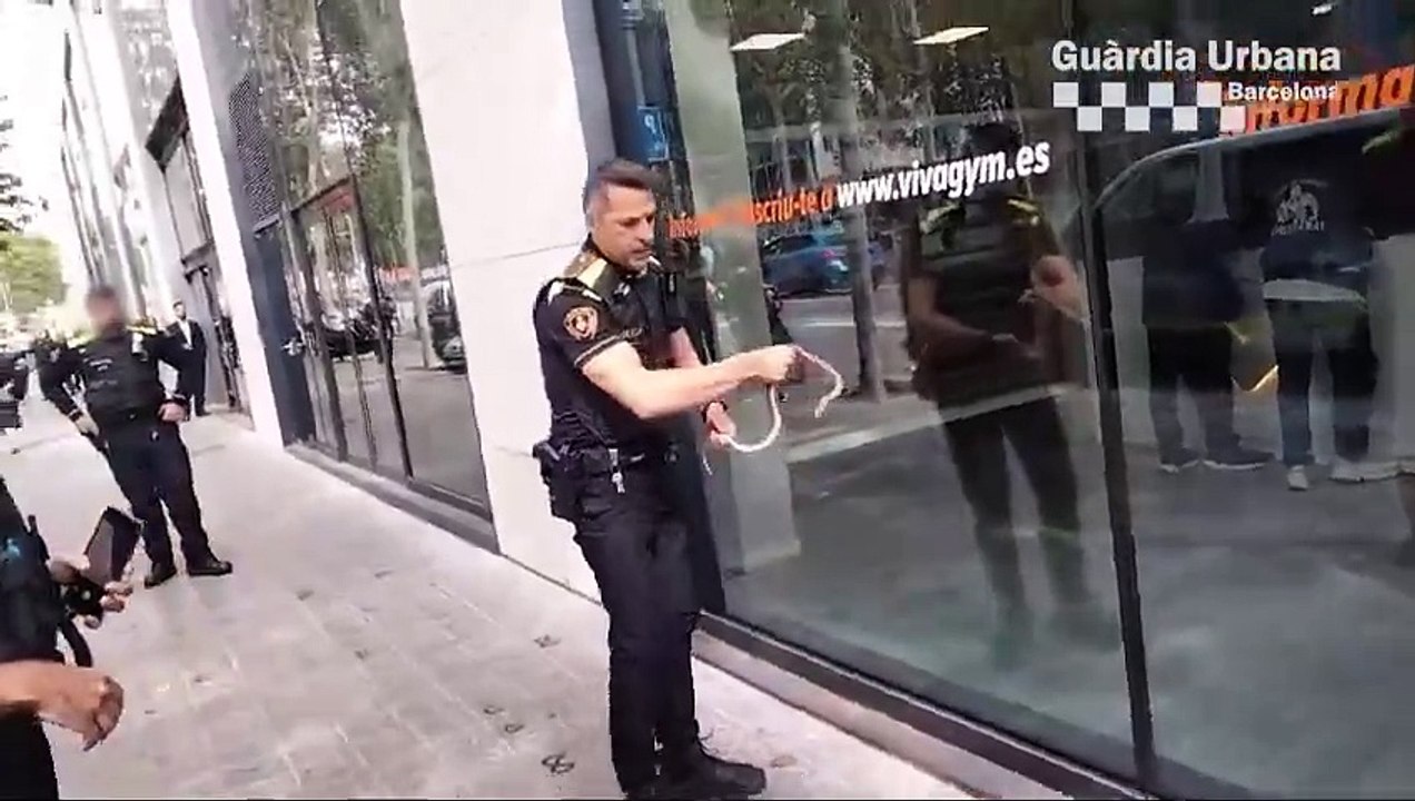 Diagonal de Barcelona