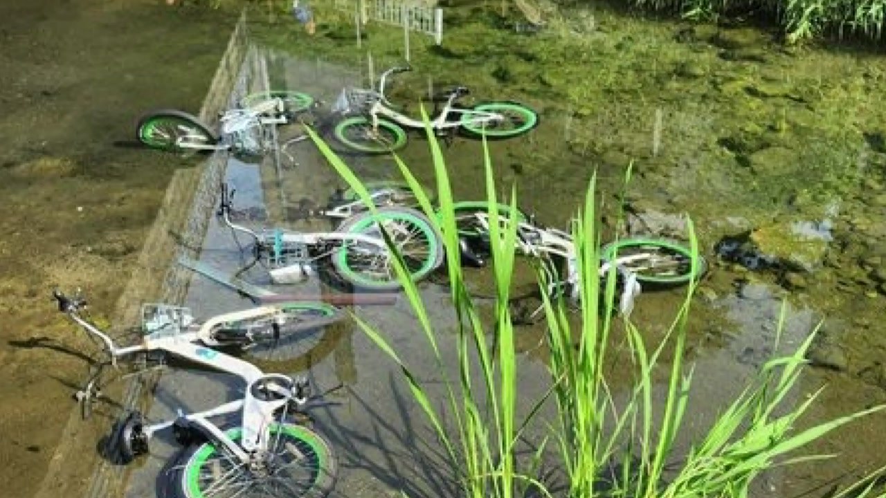 다리 밑에 따릉이 20여 대 던져 파손...20대 경찰 조사 / YTN