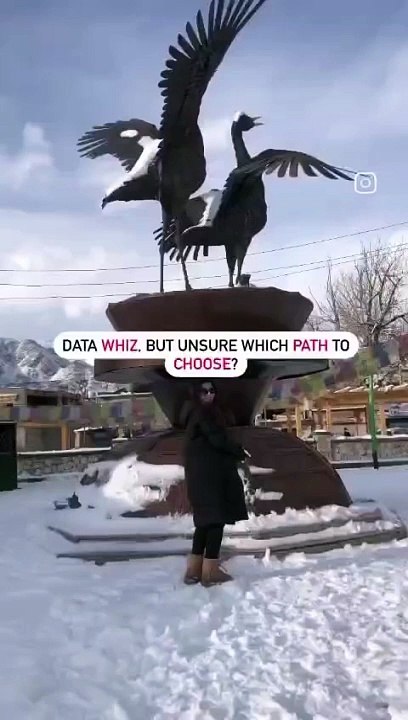 Good at Data, But Don't Know Which Path to Pick