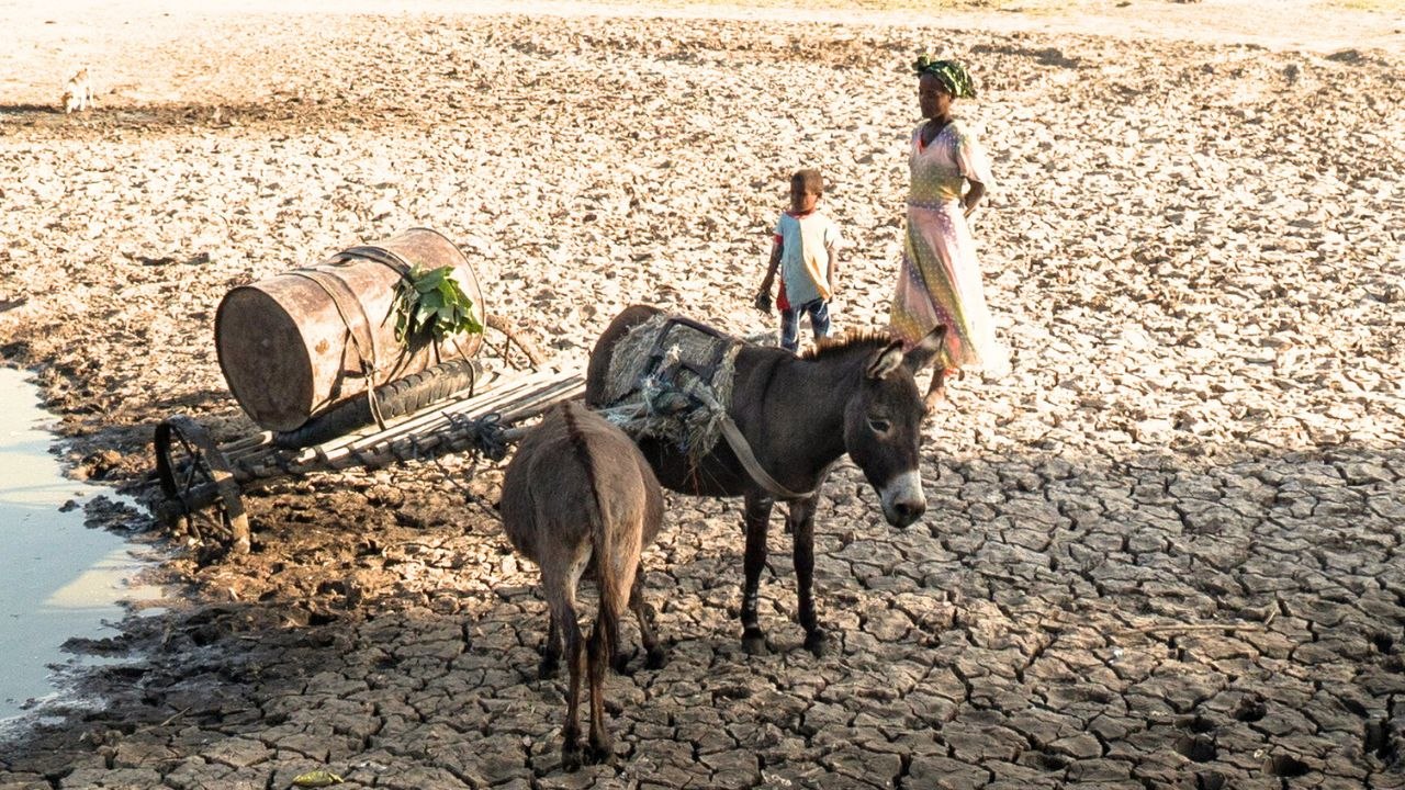 Brits are becoming greener after seeing climate disasters