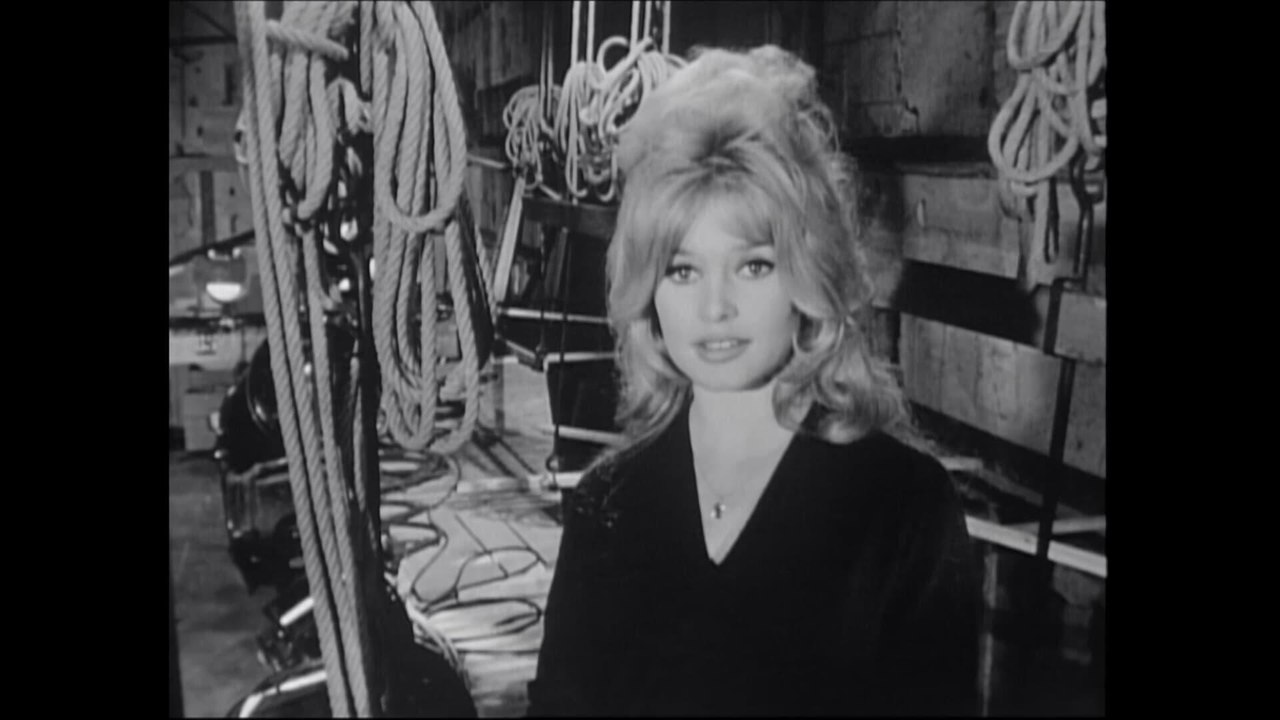 Le mystère Bardot